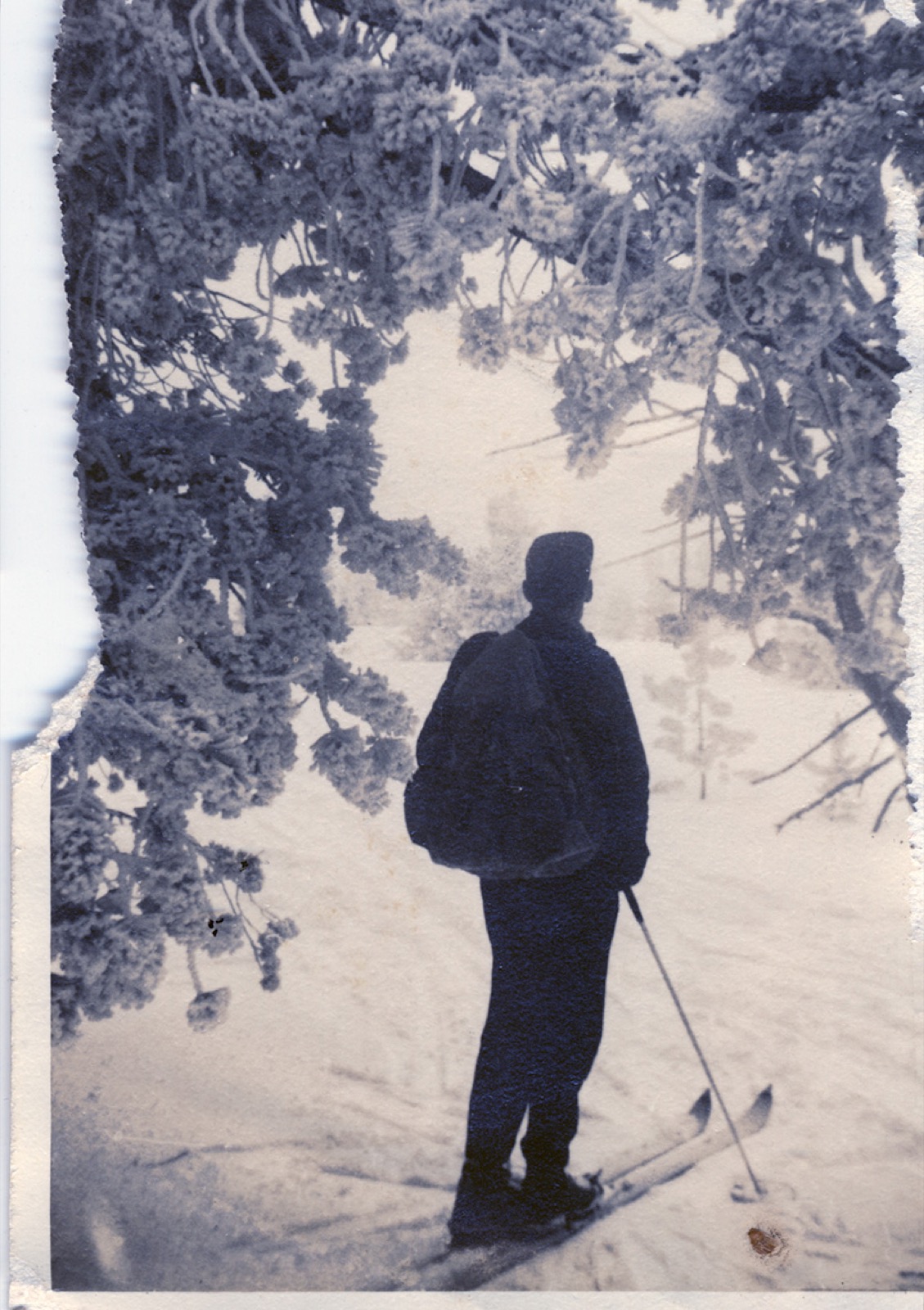 A lone skier with a rucksack, back to camera, under rime-frosted branches