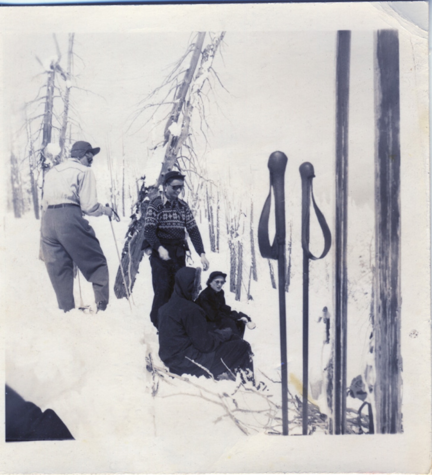 Four skiers resting among burned snags, one in shirtsleeves, two seated in the snow