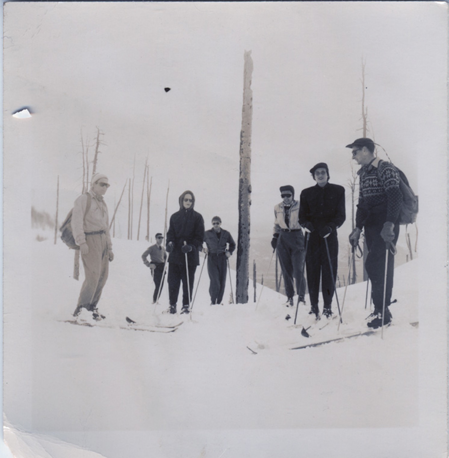 Seven skiers posed across a snow slope among standing burned snags